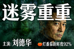 悬疑电影《迷雾重重》海报 - 主演：刘德华，烂番茄新鲜度92%